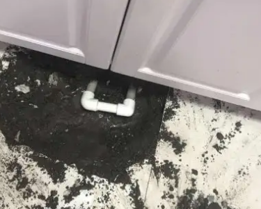 蓬江查漏水哪家好